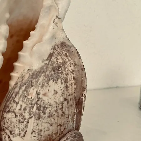 Apartman Panagiotis *